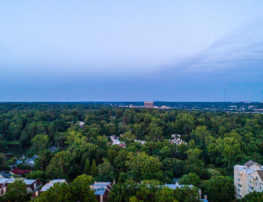 Level 20 East